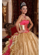 Gold Ball Gown Strapless Floor-length Organza Embroidery Quinceanera Dress