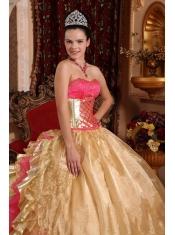 Gold Ball Gown Strapless Floor-length Organza Embroidery Quinceanera Dress