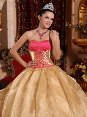 Gold Ball Gown Strapless Floor-length Organza Embroidery Quinceanera Dress