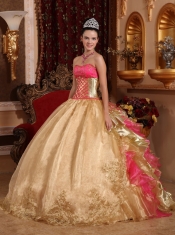 Gold Ball Gown Strapless Floor-length Organza Embroidery Quinceanera Dress