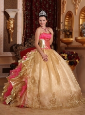 Gold Ball Gown Strapless Floor-length Organza Embroidery Quinceanera Dress