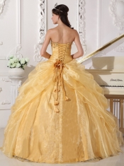 Gold Ball Gown Strapless Floor-length Organza Embroidery with Beading Quinceanera Dress