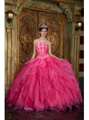 Gorgeous Ball Gown Strapless Floor-length Appliques Organza Hot Pink Quinceanera Dress