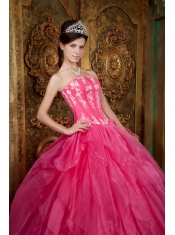 Gorgeous Ball Gown Strapless Floor-length Appliques Organza Hot Pink Quinceanera Dress