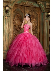 Gorgeous Ball Gown Strapless Floor-length Appliques Organza Hot Pink Quinceanera Dress