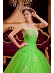 Green A-line / Princess Strapless Floor-length Appliques Tulle Quinceanera Dress