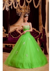 Green A-line / Princess Strapless Floor-length Appliques Tulle Quinceanera Dress