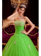 Green A-line / Princess Strapless Floor-length Appliques Tulle Quinceanera Dress
