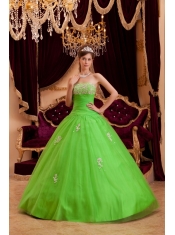 Green A-line / Princess Strapless Floor-length Appliques Tulle Quinceanera Dress
