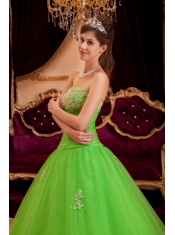 Green A-line / Princess Strapless Floor-length Appliques Tulle Quinceanera Dress