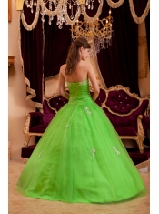 Green A-line / Princess Strapless Floor-length Appliques Tulle Quinceanera Dress