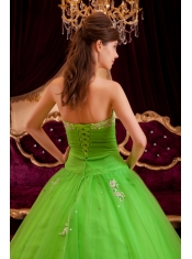 Green A-line / Princess Strapless Floor-length Appliques Tulle Quinceanera Dress