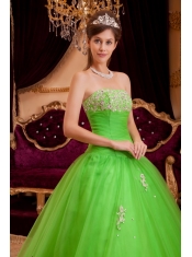 Green A-line / Princess Strapless Floor-length Appliques Tulle Quinceanera Dress