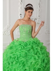 Green Ball Gown Strapless Floor-length Organza Beading Quinceanera Dress