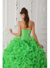 Green Ball Gown Strapless Floor-length Organza Beading Quinceanera Dress