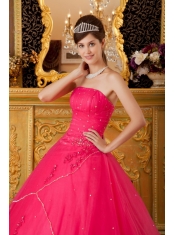 Hot Pink A-line / Princess Strapless Floor-length Tulle Appliques Quinceanera Dress
