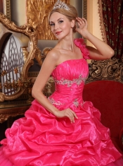Hot Pink Ball Gown One Shoulder Floor-length Organza Beading and Pick-ups Quinceanera Dress