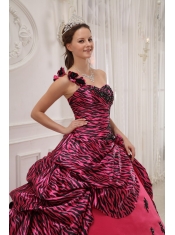 Hot Pink Ball Gown One Shoulder Floor-length Zebra or Leopard Appliques Quinceanera Dress