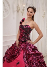 Hot Pink Ball Gown One Shoulder Floor-length Zebra or Leopard Appliques Quinceanera Dress