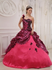 Hot Pink Ball Gown One Shoulder Floor-length Zebra or Leopard Appliques Quinceanera Dress