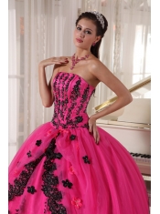 Hot Pink Ball Gown Strapless Floor-length Appliques Quinceanera Dress