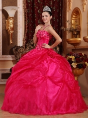 Hot Pink Ball Gown Strapless Floor-length Organza Appliques Quinceanera Dress