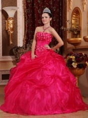 Hot Pink Ball Gown Strapless Floor-length Organza Appliques Quinceanera Dress