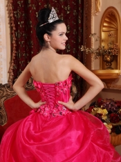 Hot Pink Ball Gown Strapless Floor-length Organza Appliques Quinceanera Dress