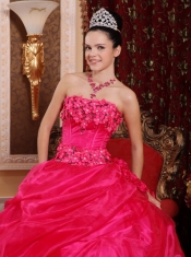 Hot Pink Ball Gown Strapless Floor-length Organza Appliques Quinceanera Dress