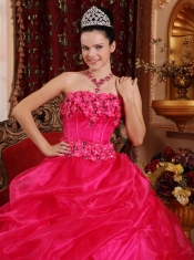 Hot Pink Ball Gown Strapless Floor-length Organza Appliques Quinceanera Dress