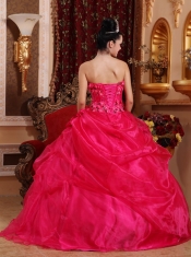 Hot Pink Ball Gown Strapless Floor-length Organza Appliques Quinceanera Dress