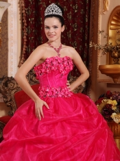 Hot Pink Ball Gown Strapless Floor-length Organza Appliques Quinceanera Dress