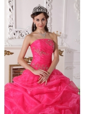 Hot Pink Ball Gown Strapless Floor-length Organza Appliques Quinceanera Dress