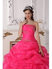 Hot Pink Ball Gown Strapless Floor-length Organza Appliques Quinceanera Dress