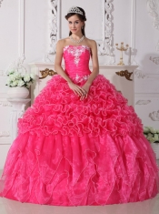 Hot Pink Ball Gown Strapless Floor-length Organza Embroidery with Beading Quinceanera Dress