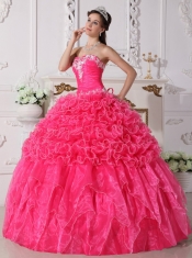 Hot Pink Ball Gown Strapless Floor-length Organza Embroidery with Beading Quinceanera Dress