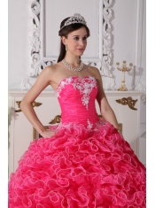 Hot Pink Ball Gown Strapless Floor-length Organza Embroidery with Beading Quinceanera Dress