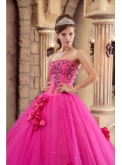 Hot Pink Ball Gown Strapless Floor-length Satin and Tulle Appliques Quinceanera Dress