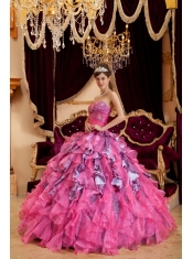 Hot Pink Ball Gown Sweetheart Floor-length Beading Leopard and Organza Quinceanera Dress