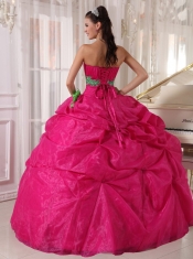 Hot Pink Ball Gown Sweetheart Floor-length Organza Appliques Quinceanera Dress