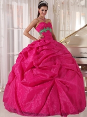 Hot Pink Ball Gown Sweetheart Floor-length Organza Appliques Quinceanera Dress