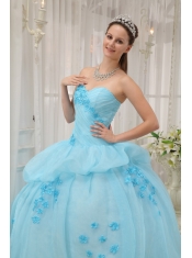 Light Blue Ball Gown Sweetheart Floor-length Organza Appliques Quinceanera Dress