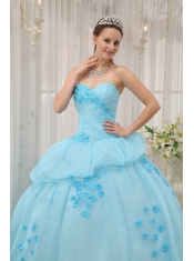 Light Blue Ball Gown Sweetheart Floor-length Organza Appliques Quinceanera Dress