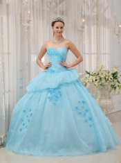 Light Blue Ball Gown Sweetheart Floor-length Organza Appliques Quinceanera Dress