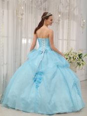 Light Blue Ball Gown Sweetheart Floor-length Organza Appliques Quinceanera Dress