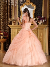 Light Pink Ball Gown One Shoulder Floor-length Appliques Tulle Quinceanera Dress