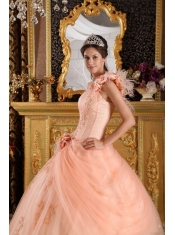 Light Pink Ball Gown One Shoulder Floor-length Appliques Tulle Quinceanera Dress