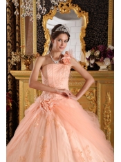 Light Pink Ball Gown One Shoulder Floor-length Appliques Tulle Quinceanera Dress