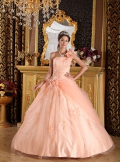 Light Pink Ball Gown One Shoulder Floor-length Appliques Tulle Quinceanera Dress