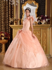 Light Pink Ball Gown One Shoulder Floor-length Appliques Tulle Quinceanera Dress